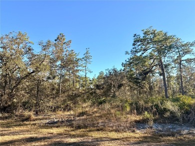 Build Your Dream Home in a Gated Golf & Lakefront Community! on Indian Lake Estates Golf and Country Club in Florida - for sale on GolfHomes.com, golf home, golf lot