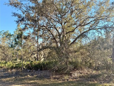 Build Your Dream Home in a Gated Golf & Lakefront Community! on Indian Lake Estates Golf and Country Club in Florida - for sale on GolfHomes.com, golf home, golf lot