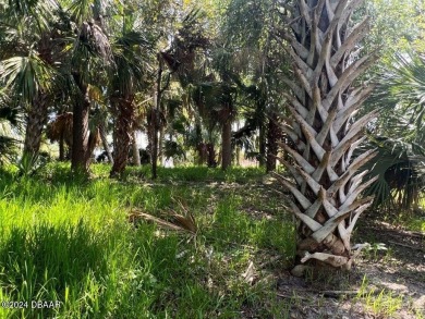 WOW !!! Saltwater homesite in Sailboat Country. High and dry on Palm Harbor Golf Club in Florida - for sale on GolfHomes.com, golf home, golf lot