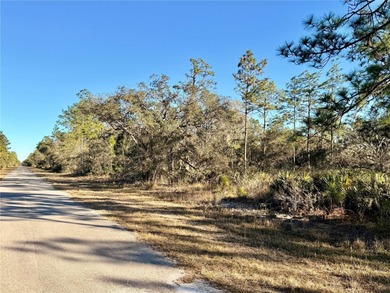 Build Your Dream Home in a Gated Golf & Lakefront Community! on Indian Lake Estates Golf and Country Club in Florida - for sale on GolfHomes.com, golf home, golf lot