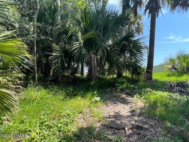 WOW !!! Saltwater homesite in Sailboat Country. High and dry on Palm Harbor Golf Club in Florida - for sale on GolfHomes.com, golf home, golf lot
