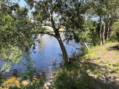 WOW !!! Saltwater homesite in Sailboat Country. High and dry on Palm Harbor Golf Club in Florida - for sale on GolfHomes.com, golf home, golf lot