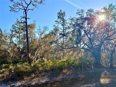 Build Your Dream Home in a Gated Golf & Lakefront Community! on Indian Lake Estates Golf and Country Club in Florida - for sale on GolfHomes.com, golf home, golf lot