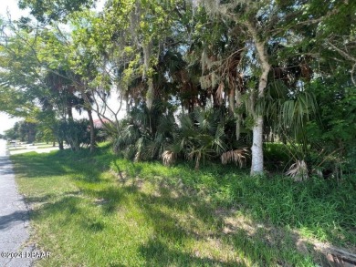 WOW !!! Saltwater homesite in Sailboat Country. High and dry on Palm Harbor Golf Club in Florida - for sale on GolfHomes.com, golf home, golf lot