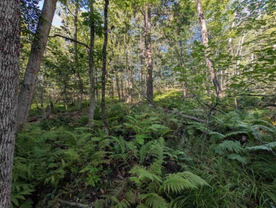 Beautiful 16.527 acre lot that overlooks the 1st and 2nd on Crotched Mountain Golf Club in New Hampshire - for sale on GolfHomes.com, golf home, golf lot