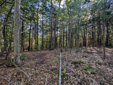 Beautiful 16.527 acre lot that overlooks the 1st and 2nd on Crotched Mountain Golf Club in New Hampshire - for sale on GolfHomes.com, golf home, golf lot