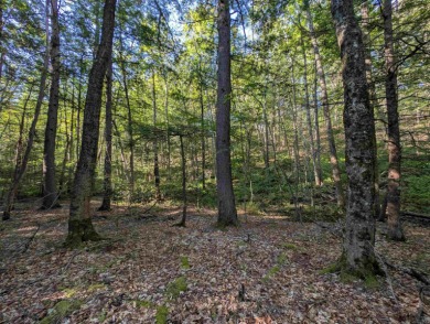 Beautiful 16.527 acre lot that overlooks the 1st and 2nd on Crotched Mountain Golf Club in New Hampshire - for sale on GolfHomes.com, golf home, golf lot