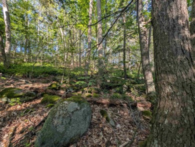 Beautiful 16.527 acre lot that overlooks the 1st and 2nd on Crotched Mountain Golf Club in New Hampshire - for sale on GolfHomes.com, golf home, golf lot