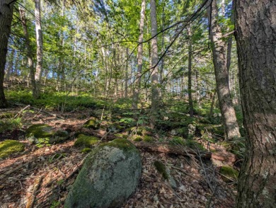 Beautiful 16.527 acre lot that overlooks the 1st and 2nd on Crotched Mountain Golf Club in New Hampshire - for sale on GolfHomes.com, golf home, golf lot