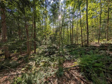 Beautiful 16.527 acre lot that overlooks the 1st and 2nd on Crotched Mountain Golf Club in New Hampshire - for sale on GolfHomes.com, golf home, golf lot
