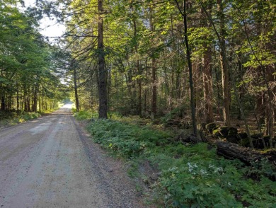 Beautiful 11.933 acre lot that looks out on the 1st fairway of on Crotched Mountain Golf Club in New Hampshire - for sale on GolfHomes.com, golf home, golf lot