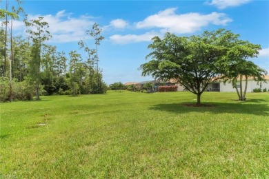 This vibrant 55+ community offers an endless array of activities on Pelican Preserve Golf Club in Florida - for sale on GolfHomes.com, golf home, golf lot