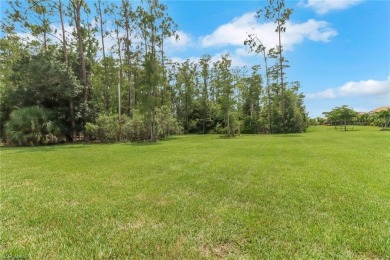 This vibrant 55+ community offers an endless array of activities on Pelican Preserve Golf Club in Florida - for sale on GolfHomes.com, golf home, golf lot