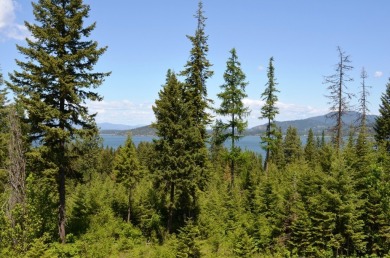 A Gozzer Ranch Golf Course and Lake Club Lot with filtered lake on Gozzer Ranch Golf and Lake Club in Idaho - for sale on GolfHomes.com, golf home, golf lot