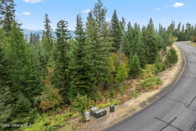 A Gozzer Ranch Golf Course and Lake Club Lot with filtered lake on Gozzer Ranch Golf and Lake Club in Idaho - for sale on GolfHomes.com, golf home, golf lot