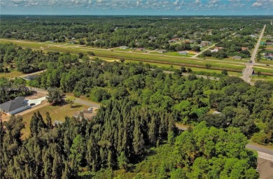Exclusively Listed by Sunland Real Estate: One of the best on Lehigh Resort Club in Florida - for sale on GolfHomes.com, golf home, golf lot