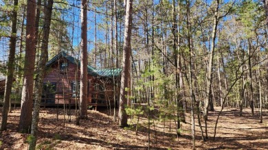 Virgin Lake Cottage on Big Stone Golf and Country Club in Wisconsin - for sale on GolfHomes.com, golf home, golf lot