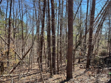 Imagine the endless opportunities awaiting you with this on Reems Creek Golf Club in North Carolina - for sale on GolfHomes.com, golf home, golf lot