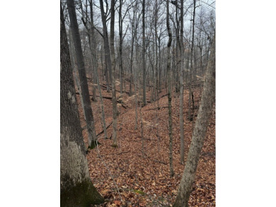 Seize the opportunity to own a 1.16 acre wooded lot in a on Foxcliff Golf Club in Indiana - for sale on GolfHomes.com, golf home, golf lot