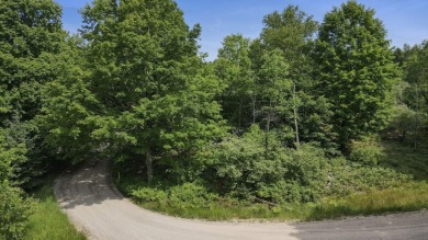 Build your Dream! Beautiful rolling hills on this 2.15 acre on Arcadia Bluffs Golf Club in Michigan - for sale on GolfHomes.com, golf home, golf lot