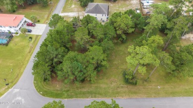 Discover the perfect blend of convenience and coastal living on Carolina National Golf Club in North Carolina - for sale on GolfHomes.com, golf home, golf lot