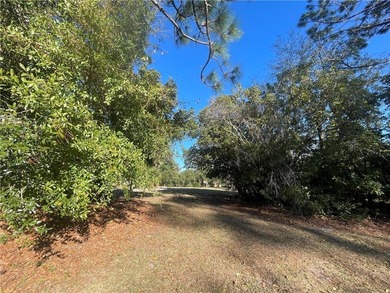 Build your dream home in the highly sought-after gated community on The Club At Osprey Cove in Georgia - for sale on GolfHomes.com, golf home, golf lot