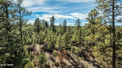 Let us build you this (or similar) custom home on a gorgeous on Torreon Golf Club in Arizona - for sale on GolfHomes.com, golf home, golf lot