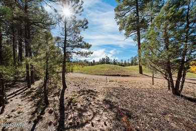Let us build you this (or similar) custom home on a gorgeous on Torreon Golf Club in Arizona - for sale on GolfHomes.com, golf home, golf lot