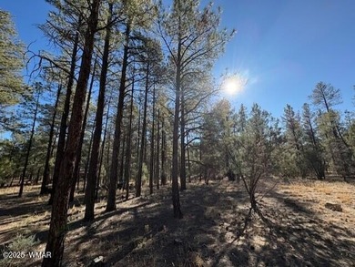 ASK ABOUT DEVELOPER INCENTIVES. New Villas II Lot Release in on Torreon Golf Club in Arizona - for sale on GolfHomes.com, golf home, golf lot