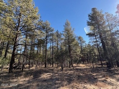 ASK ABOUT DEVELOPER INCENTIVES. New Villas II Lot Release in on Torreon Golf Club in Arizona - for sale on GolfHomes.com, golf home, golf lot