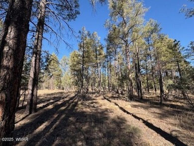 ASK ABOUT DEVELOPER INCENTIVES. New Villas II Lot Release in on Torreon Golf Club in Arizona - for sale on GolfHomes.com, golf home, golf lot