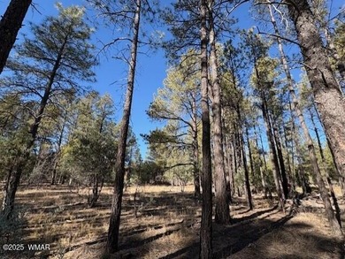 ASK ABOUT DEVELOPER INCENTIVES. New Villas II Lot Release in on Torreon Golf Club in Arizona - for sale on GolfHomes.com, golf home, golf lot