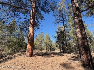 ASK ABOUT DEVELOPER INCENTIVES. New Villas II Lot Release in on Torreon Golf Club in Arizona - for sale on GolfHomes.com, golf home, golf lot