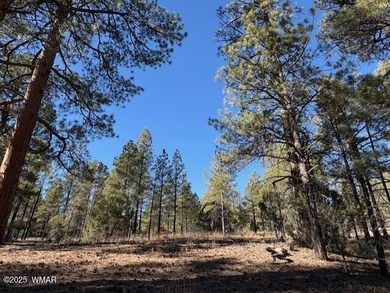 ASK ABOUT DEVELOPER INCENTIVES. New Villas II Lot Release in on Torreon Golf Club in Arizona - for sale on GolfHomes.com, golf home, golf lot