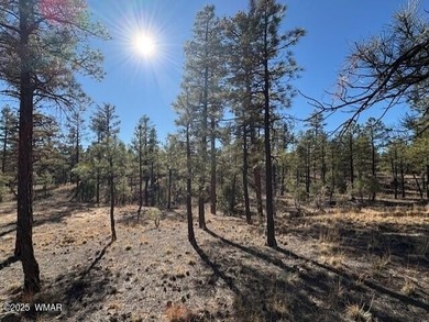 ASK ABOUT DEVELOPER INCENTIVES. New Villas II Lot Release in on Torreon Golf Club in Arizona - for sale on GolfHomes.com, golf home, golf lot