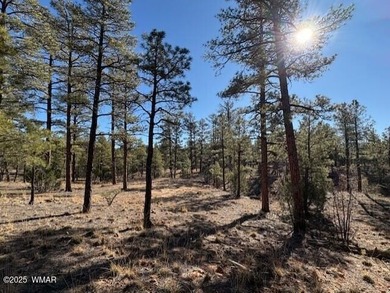 ASK ABOUT DEVELOPER INCENTIVES. New Villas II Lot Release in on Torreon Golf Club in Arizona - for sale on GolfHomes.com, golf home, golf lot