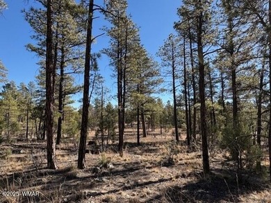 ASK ABOUT DEVELOPER INCENTIVES. New Villas II Lot Release in on Torreon Golf Club in Arizona - for sale on GolfHomes.com, golf home, golf lot