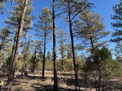 ASK ABOUT DEVELOPER INCENTIVES. New Villas II Lot Release in on Torreon Golf Club in Arizona - for sale on GolfHomes.com, golf home, golf lot