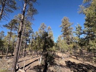 ASK ABOUT DEVELOPER INCENTIVES. New Villas II Lot Release in on Torreon Golf Club in Arizona - for sale on GolfHomes.com, golf home, golf lot