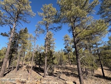 ASK ABOUT DEVELOPER INCENTIVES. New Villas II Lot Release in on Torreon Golf Club in Arizona - for sale on GolfHomes.com, golf home, golf lot