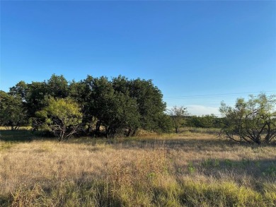Seller financing with low interest rate for this .35 acre lot on Hideout Golf Club and Resort  in Texas - for sale on GolfHomes.com, golf home, golf lot