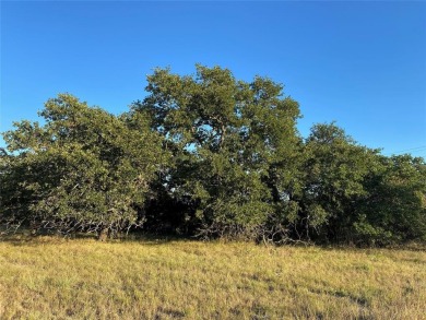 Seller financing with low interest rate for this .35 acre lot on Hideout Golf Club and Resort  in Texas - for sale on GolfHomes.com, golf home, golf lot