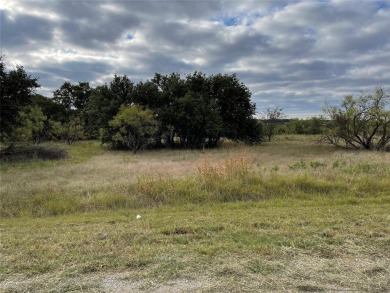 Seller financing with low interest rate for this .35 acre lot on Hideout Golf Club and Resort  in Texas - for sale on GolfHomes.com, golf home, golf lot