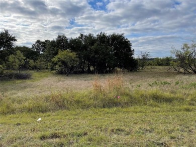 Seller financing with low interest rate for this .35 acre lot on Hideout Golf Club and Resort  in Texas - for sale on GolfHomes.com, golf home, golf lot