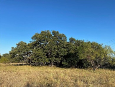 Seller financing with low interest rate for this .35 acre lot on Hideout Golf Club and Resort  in Texas - for sale on GolfHomes.com, golf home, golf lot