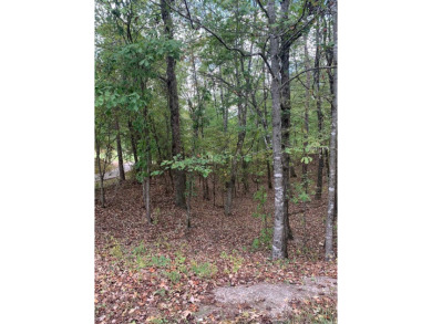 Come build your dream home on this beautiful lot located on the on Granada Golf Course in Arkansas - for sale on GolfHomes.com, golf home, golf lot