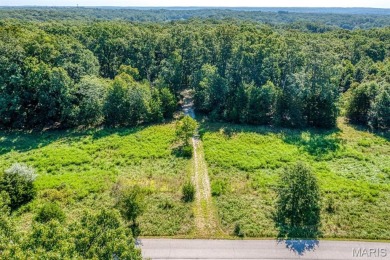 Discover the perfect blend of beauty and tranquility on this on Innsbrook Resort Golf Course in Missouri - for sale on GolfHomes.com, golf home, golf lot