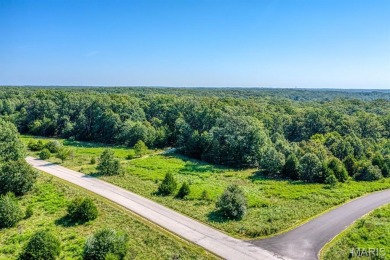 Discover the perfect blend of beauty and tranquility on this on Innsbrook Resort Golf Course in Missouri - for sale on GolfHomes.com, golf home, golf lot