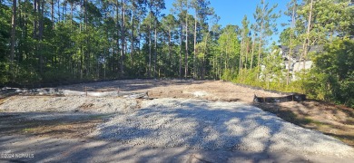 Welcome to 913 Bee Tree Court, your new home sweet home! Let's on Harbour Point Golf Club in North Carolina - for sale on GolfHomes.com, golf home, golf lot