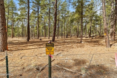 2851 and 2937 Ben Brooks Lot #2 and #3 - The Estates at Forest on Forest Highlands Golf Club - The Canyon in Arizona - for sale on GolfHomes.com, golf home, golf lot